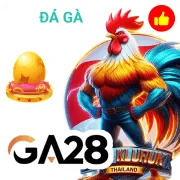 bia66 Game 10